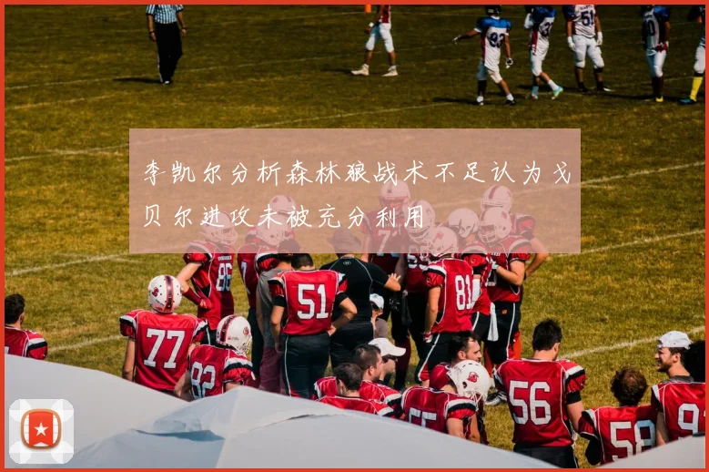 李凯尔分析森林狼战术不足认为戈贝尔进攻未被充分利用