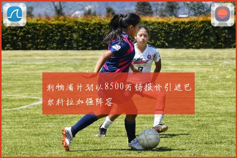 利物浦计划以8500万镑报价引进巴尔科拉加强阵容