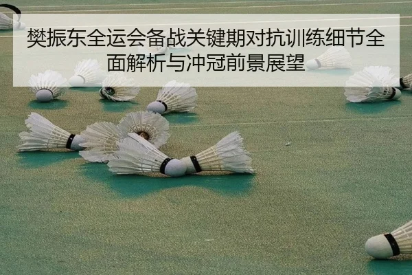 樊振东全运会备战关键期对抗训练细节全面解析与冲冠前景展望
